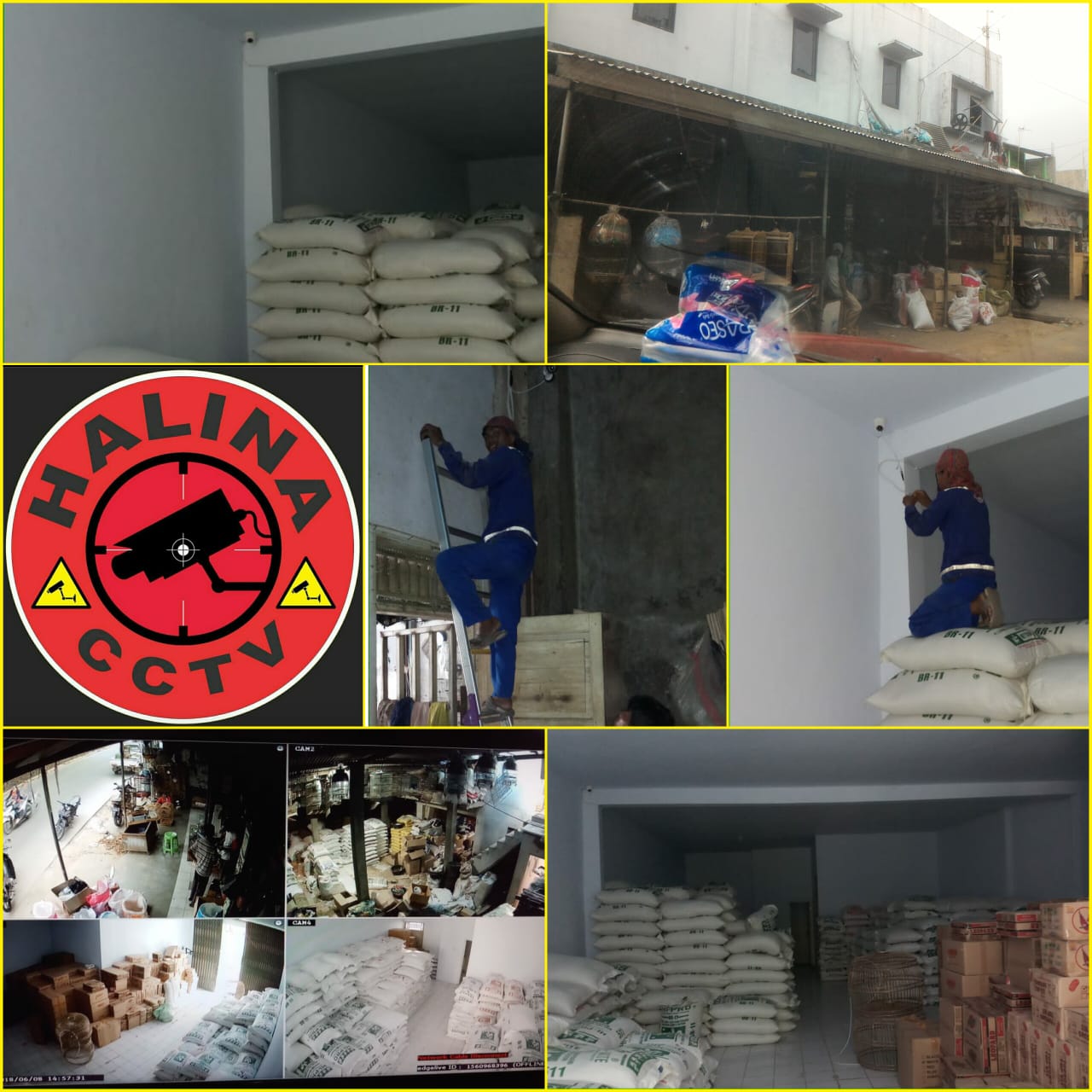 TOKO BURUNG KERANGGOT CILEGON (JUNI 2018)